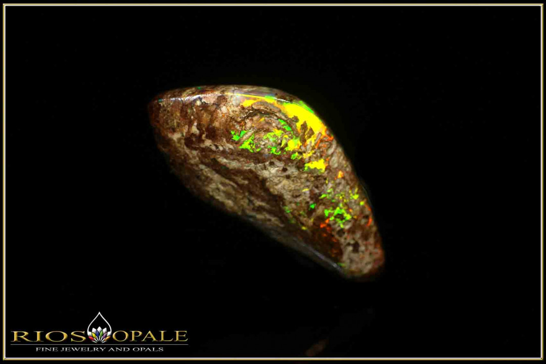 Jundah opalisiertes Holz Boulder Opal - 6,65ct